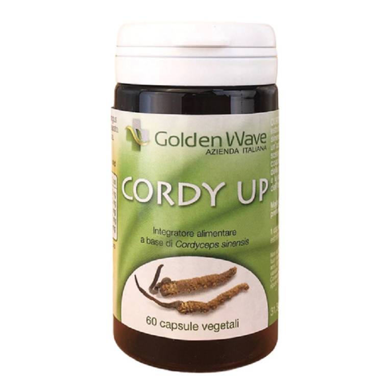 CORDY UP 60CPS